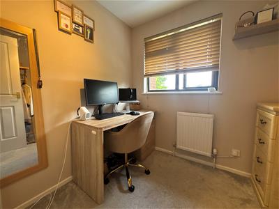 Picture 15